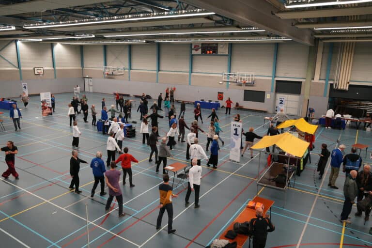 Read more about the article Een mooie ervaring op het Taiji en Qigong festival