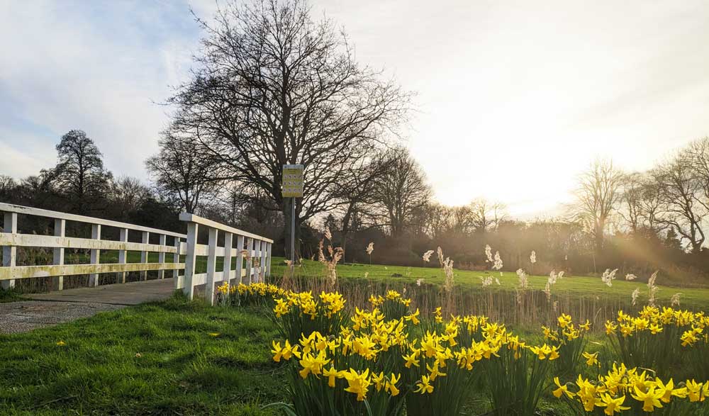 Het Rosarium in Den Haag als plek om Qigong te geven